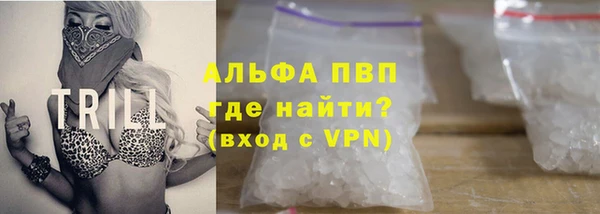 гашик Арсеньев