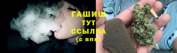 гашик Арсеньев