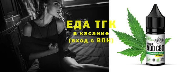 гашик Арсеньев