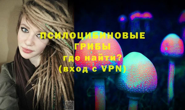 PSILOCYBIN Зерноград