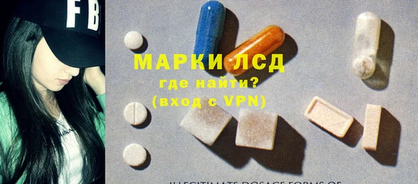 сатива Аркадак