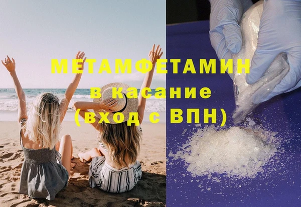 сатива Аркадак