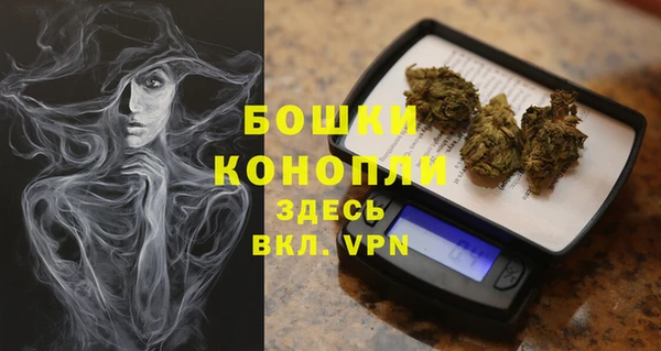 гашик Арсеньев