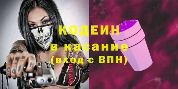 сатива Аркадак
